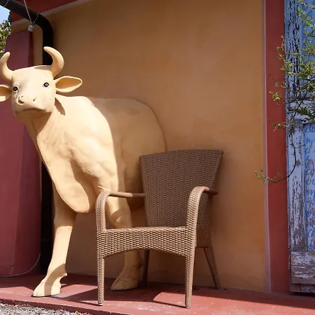 Fattoria Santa Lucia Borgo Cantina San Gervasio (Pisa)