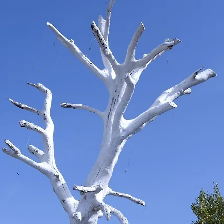 Fattoria Santa Lucia Borgo Cantina Bed and Breakfast 3*